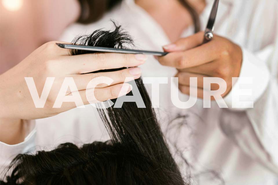 vacature-Hairdesigner-Blokker